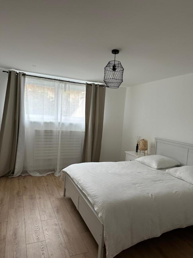 Joli Appartement Dans Une Maison Remise A Neuf Mittelhausbergen Eksteriør billede